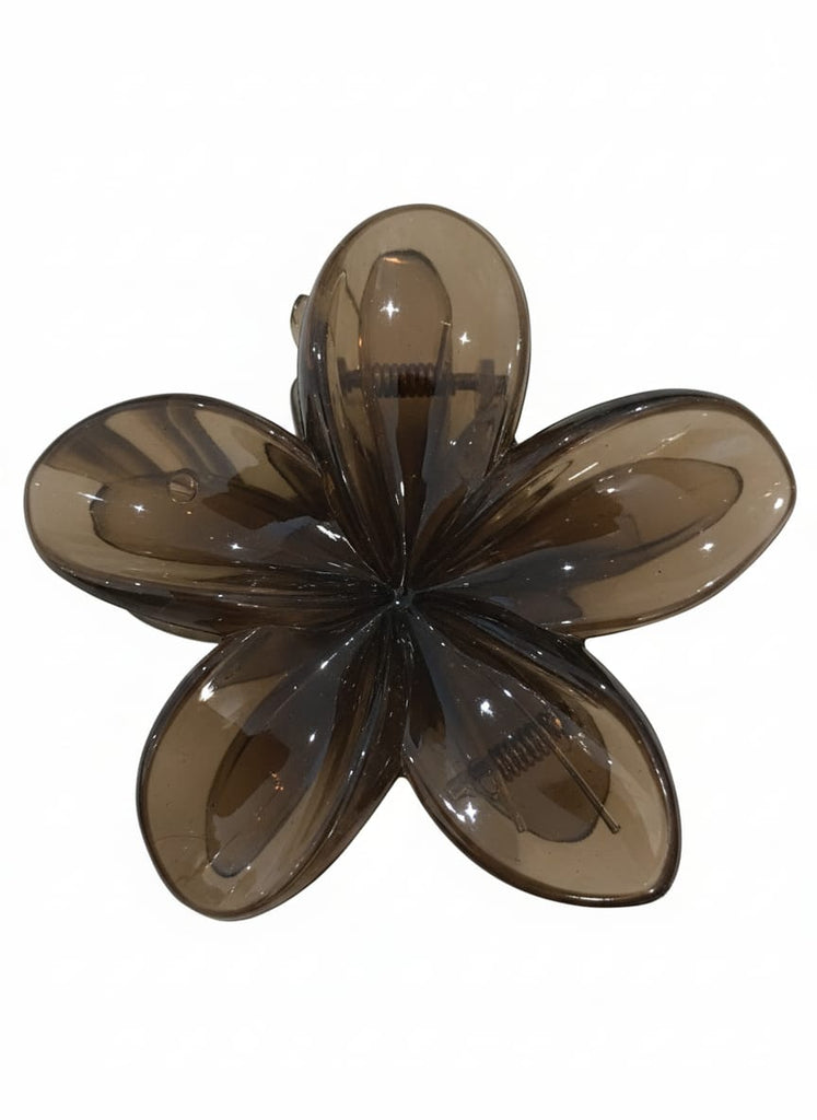 Figtree Set Flower Acrylic Hair Clubs Clips